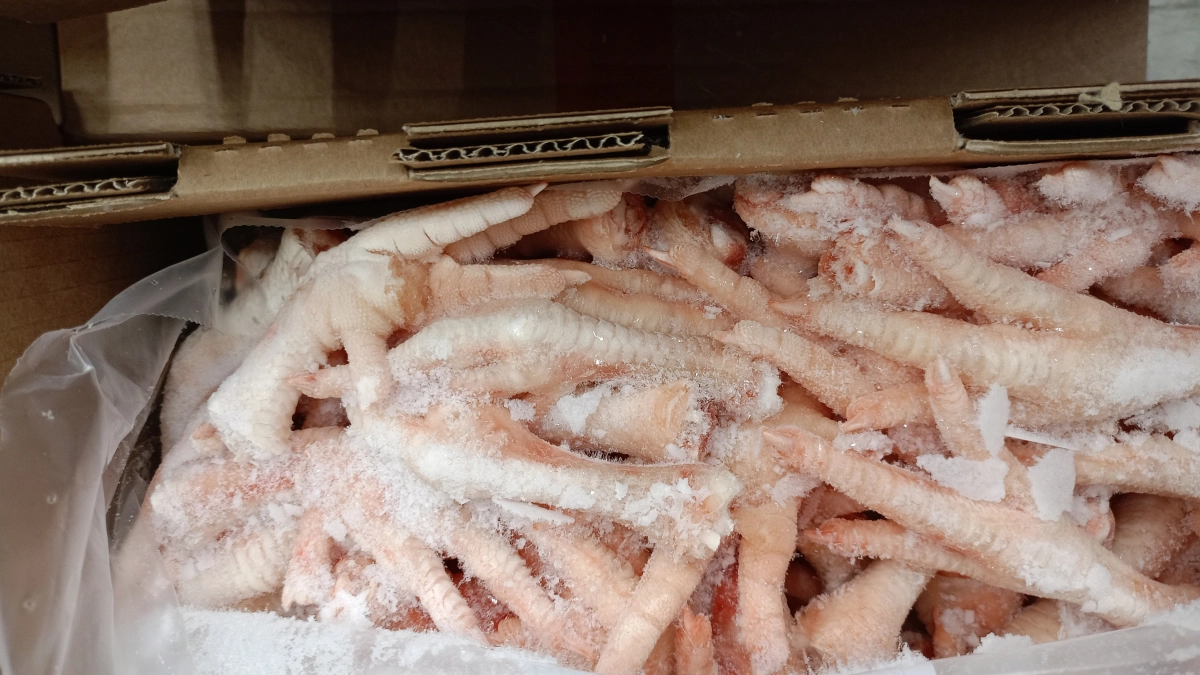 Кошка Лапка в Германию и куриные лапки в Китай: что отправили из Ярославской области за границу