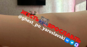 Пассажирка упала в автобусе №19 в Ярославле: начата проверка водителя