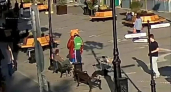 В Ярославле нашли вандала, разрисовавшего скульптуру медведя на Депутатской