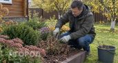 Устал полоть клумбы каждые выходные: перешел на 16 неприхотливых видов и сократил уход до двух раз в год