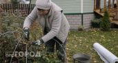 Мой простой метод подготовки роз к зиме: всего одна манипуляция в октябре и кусты без потерь переживут морозы